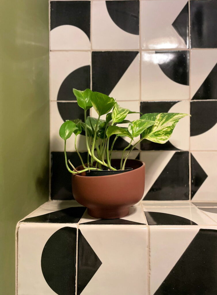 Corner of black and white Smink Studio handmade ceramic tiles with bold circle and half-moon screen-printed colours, against a green wall with a terracotta plant pot.